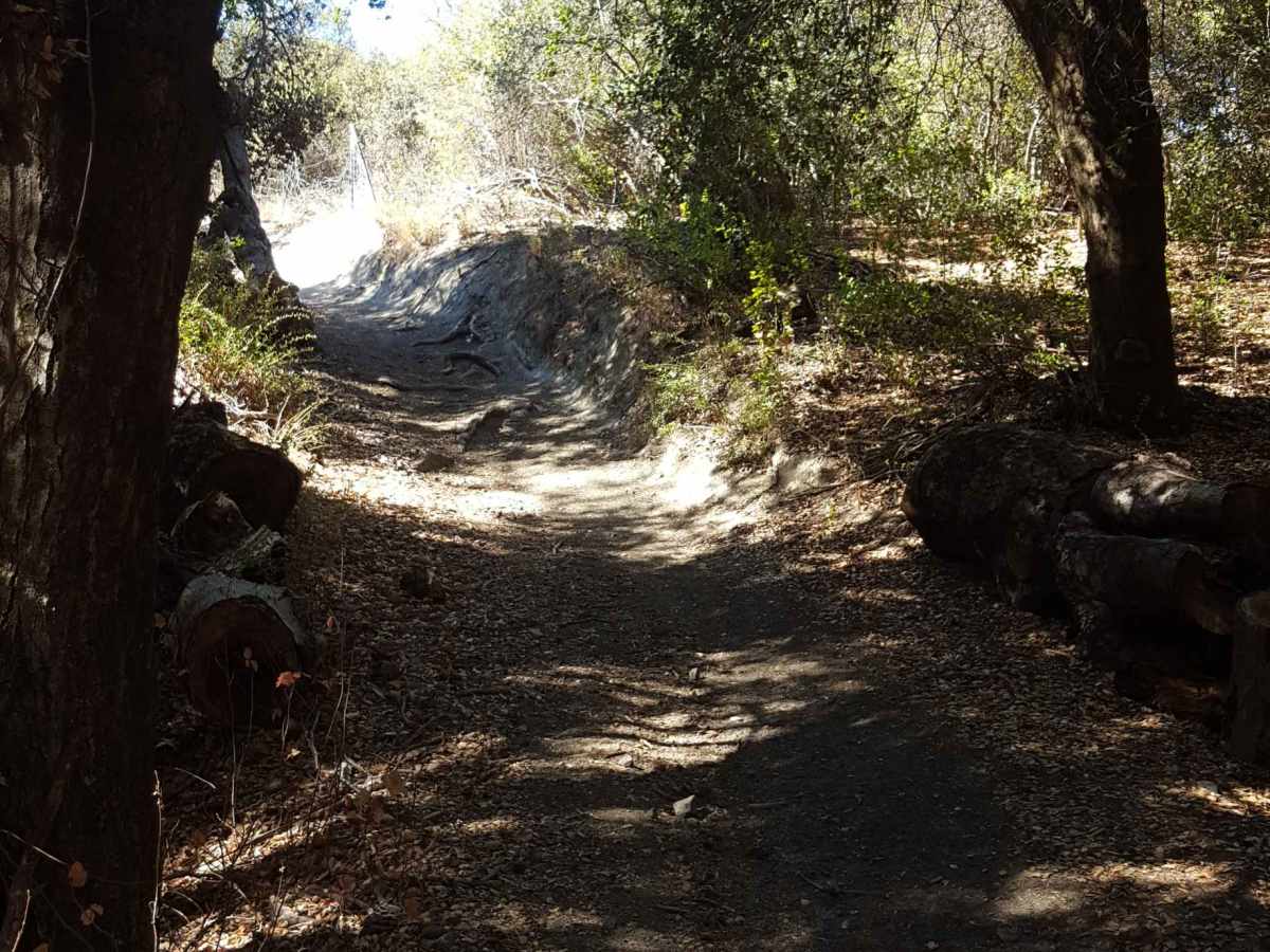 Corral - Trail 2 photo 4