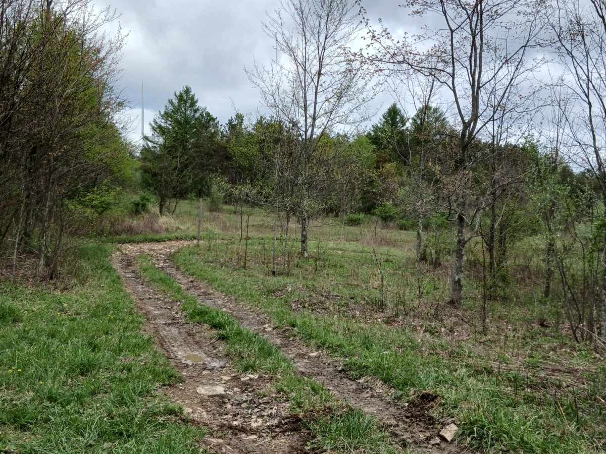 Short 3 - Rock Run Recreation Area trail photo