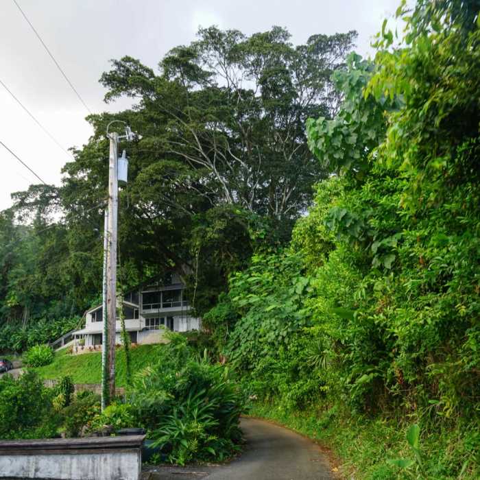 Near Kolowalu Trail Near Kolowalu Trail
