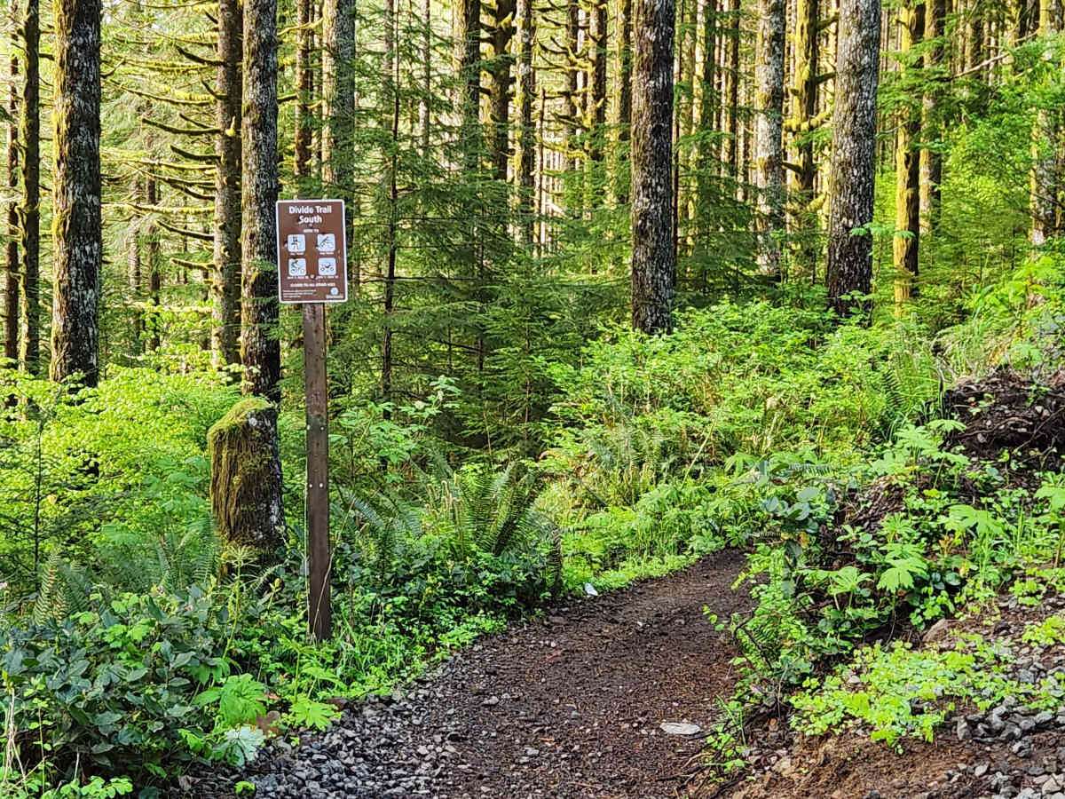 Divide Trail South trail photo