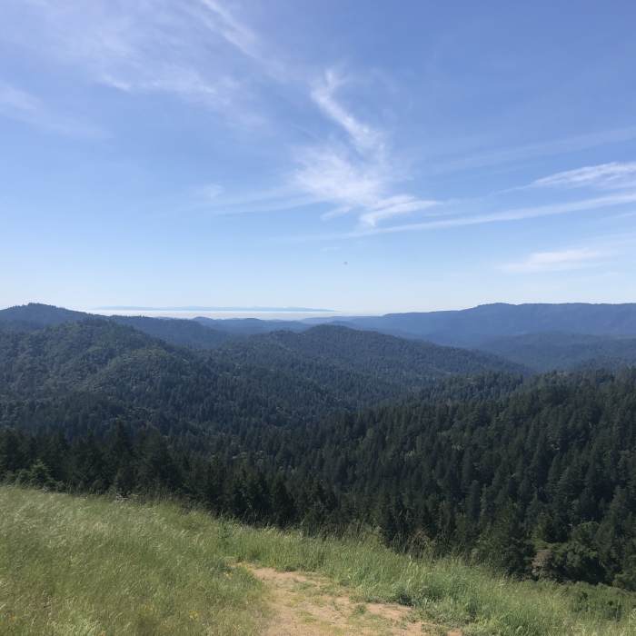 Near Castle Rock Loop