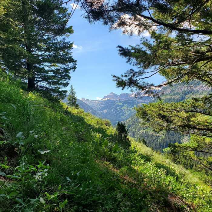 Near Face Trail #029