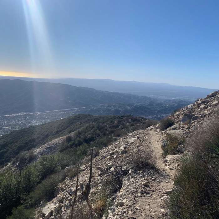 Near Crescenta View Trail