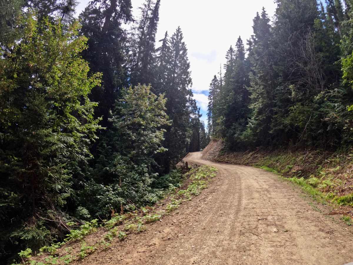 Ward Creek Trail photo 5