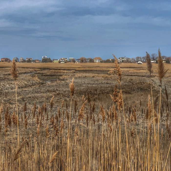 Near Makamah Nature Preserve