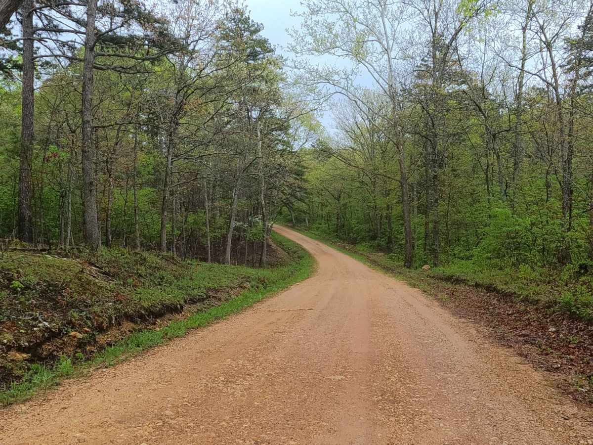 Enough Road - ICR 16 FS 2768 photo 4