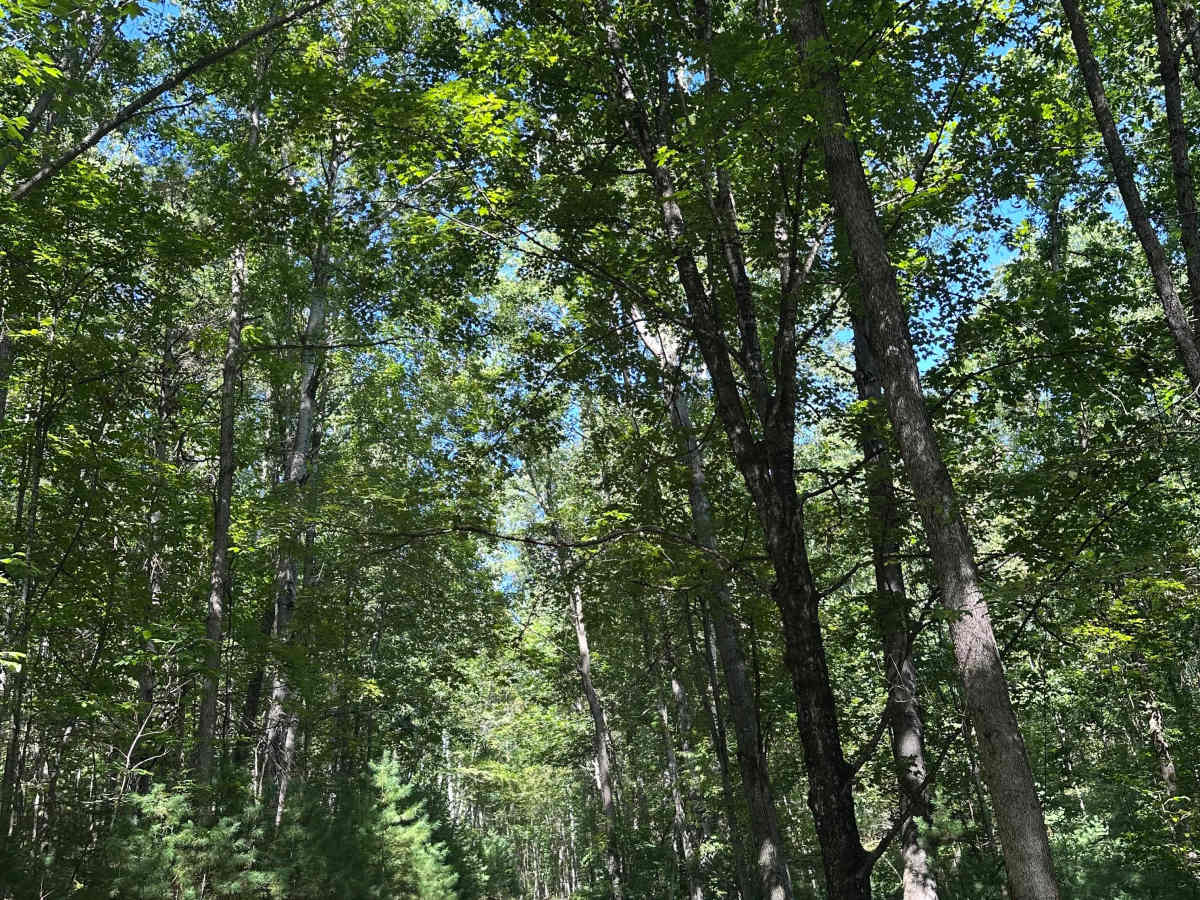 Range Road photo 2