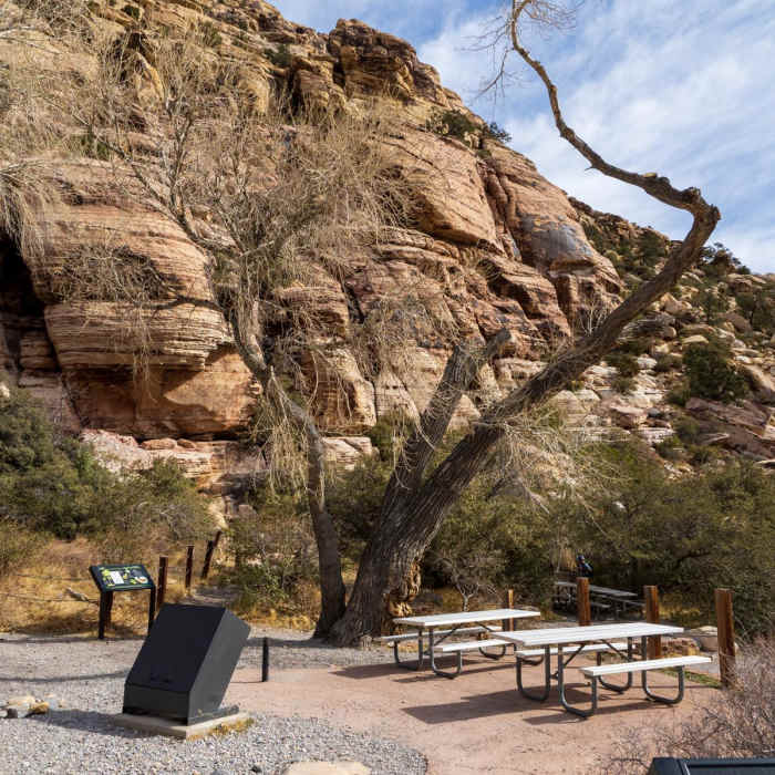 Near La Madre Spring