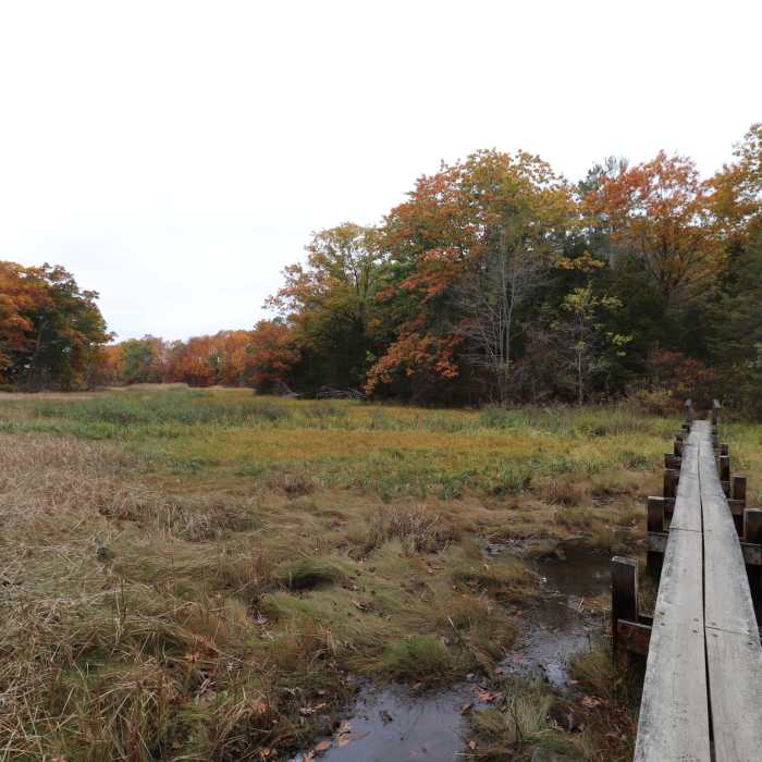 The beginning of the Boardwalk Trail. Near Old Town Hill Loop