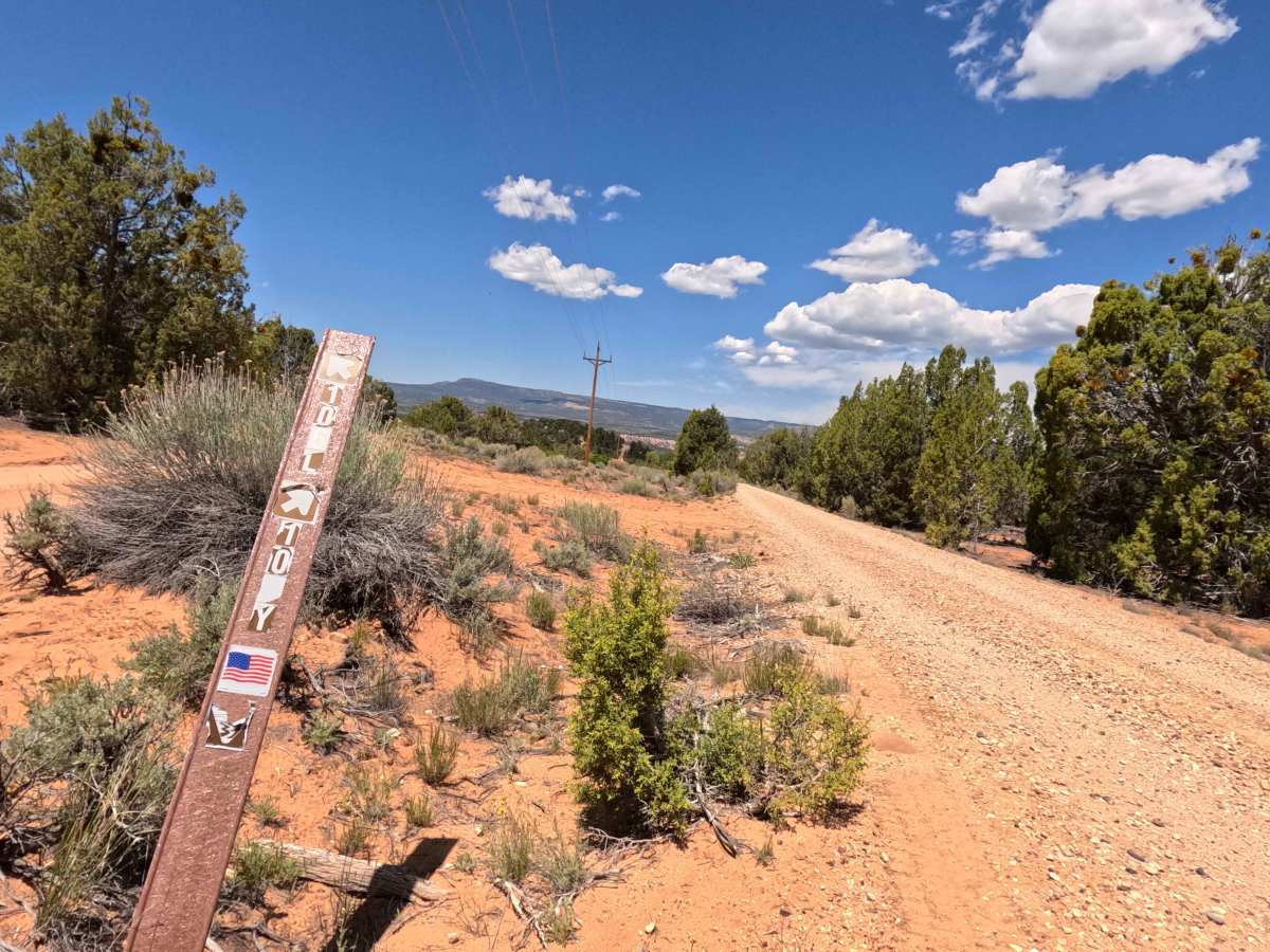BLM 106Y photo 4