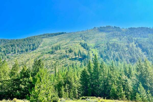 Plumbob Creek FSR