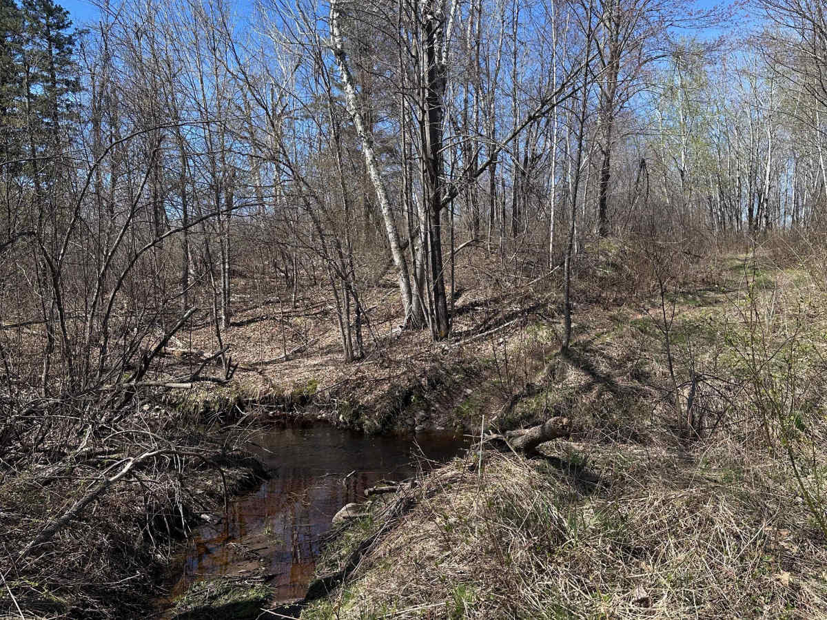 Hay Creek Trail photo 3