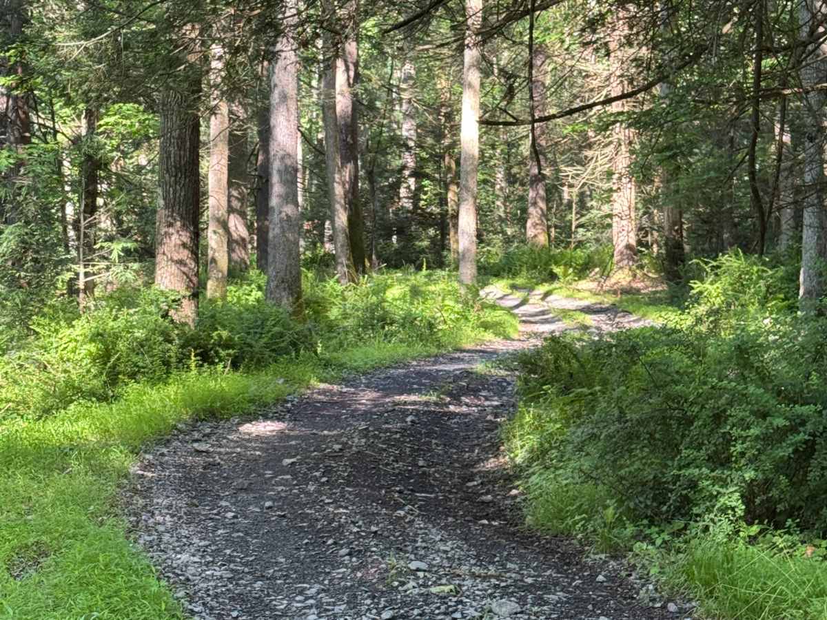 Stitzer's Well Trail photo 5