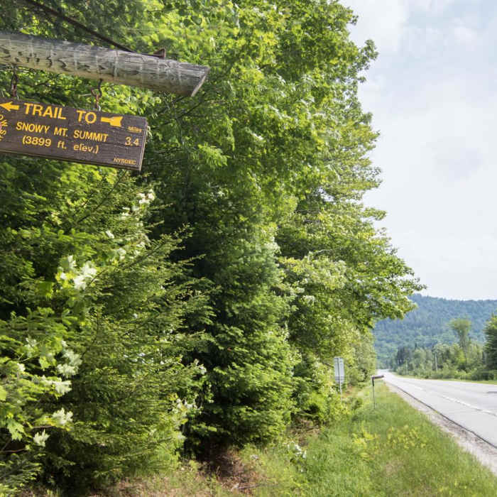 Near Snowy Mountain Fire Tower Near Snowy Mountain Fire Tower