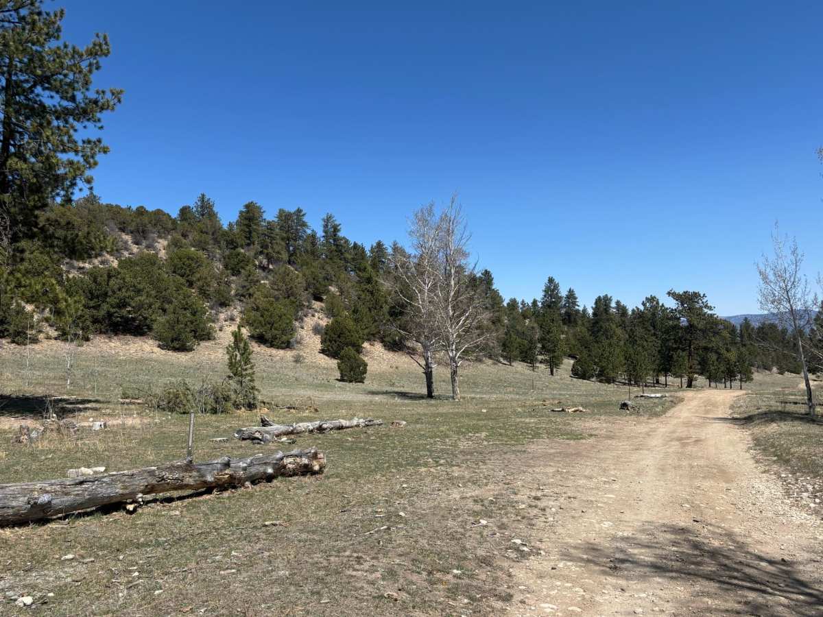 Raspberry Gulch photo 6