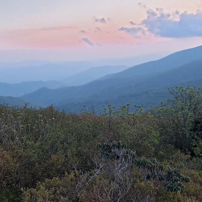 Heading towards Grassy Ridge Bald. Near AT: Carver's Gap to US19E