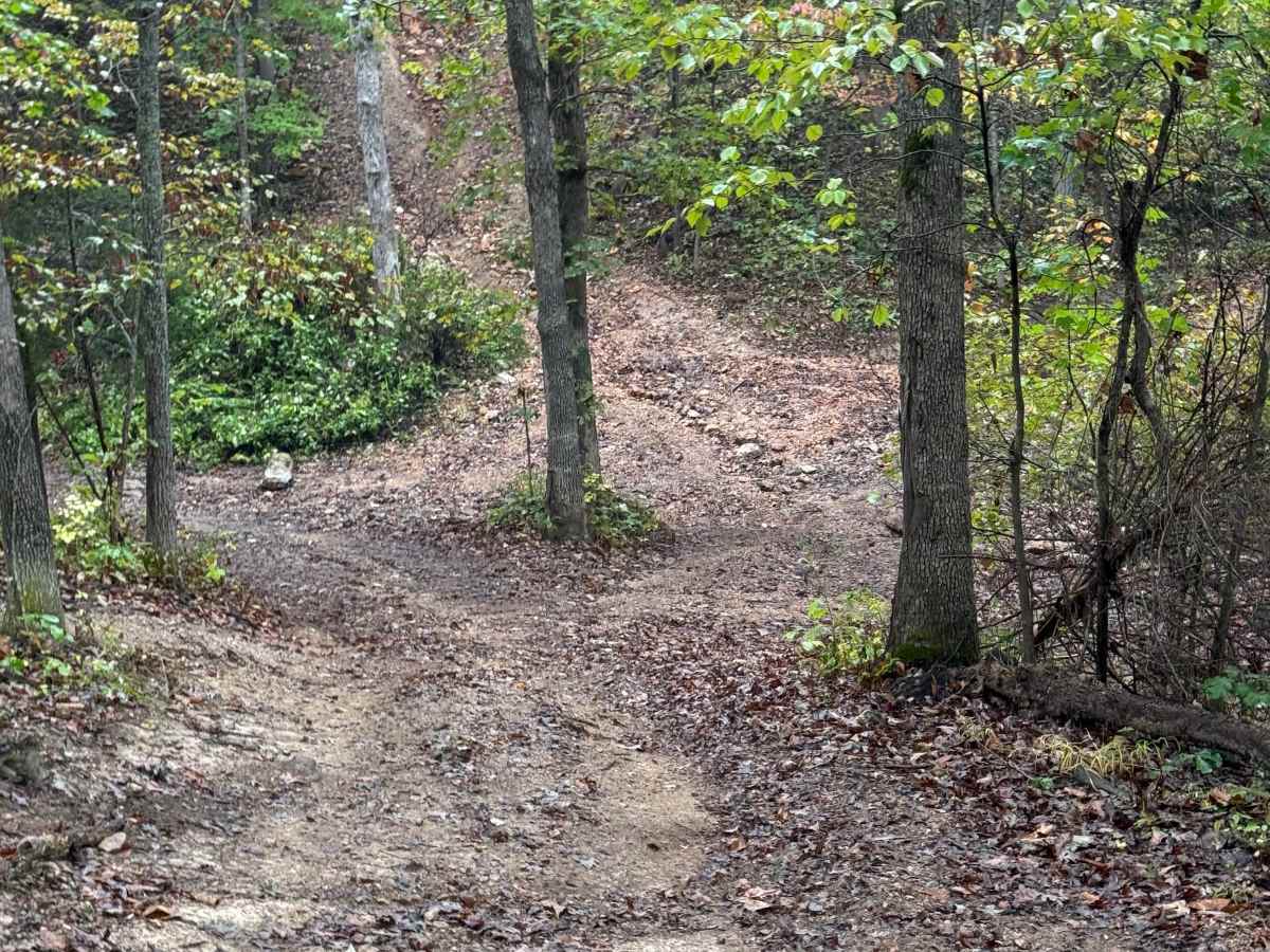 Middle Road photo 2
