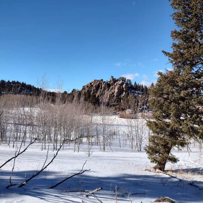 Near Elkhorn Trailhead Loop