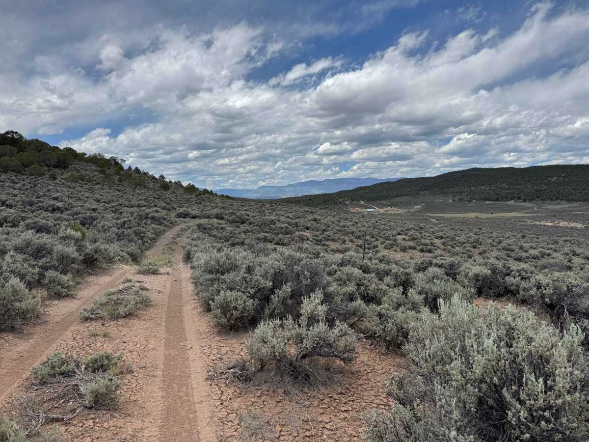 BLM 8473C photo 3