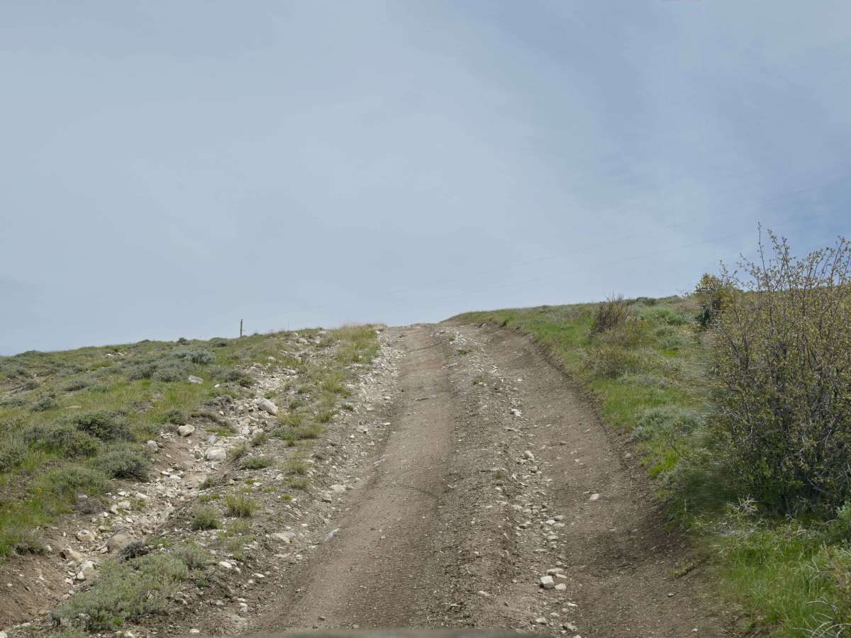 Limestone Ridge/FR10257 photo 3