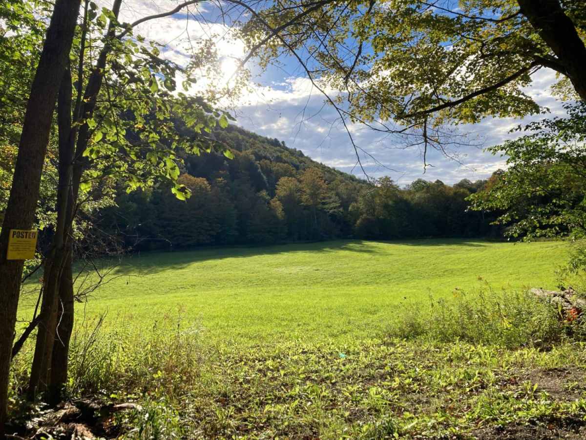Culver Creek Road photo 5