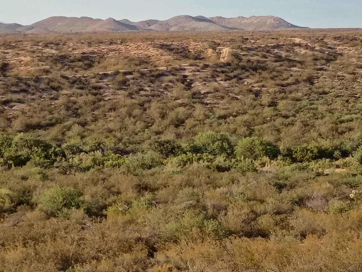 Crisis Trail photo 6