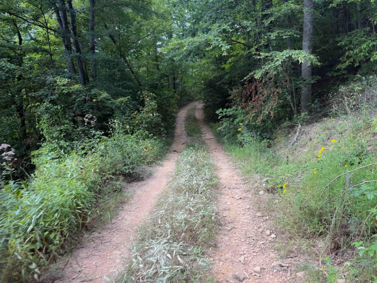 Signal Mountain Trail 29   photo 6