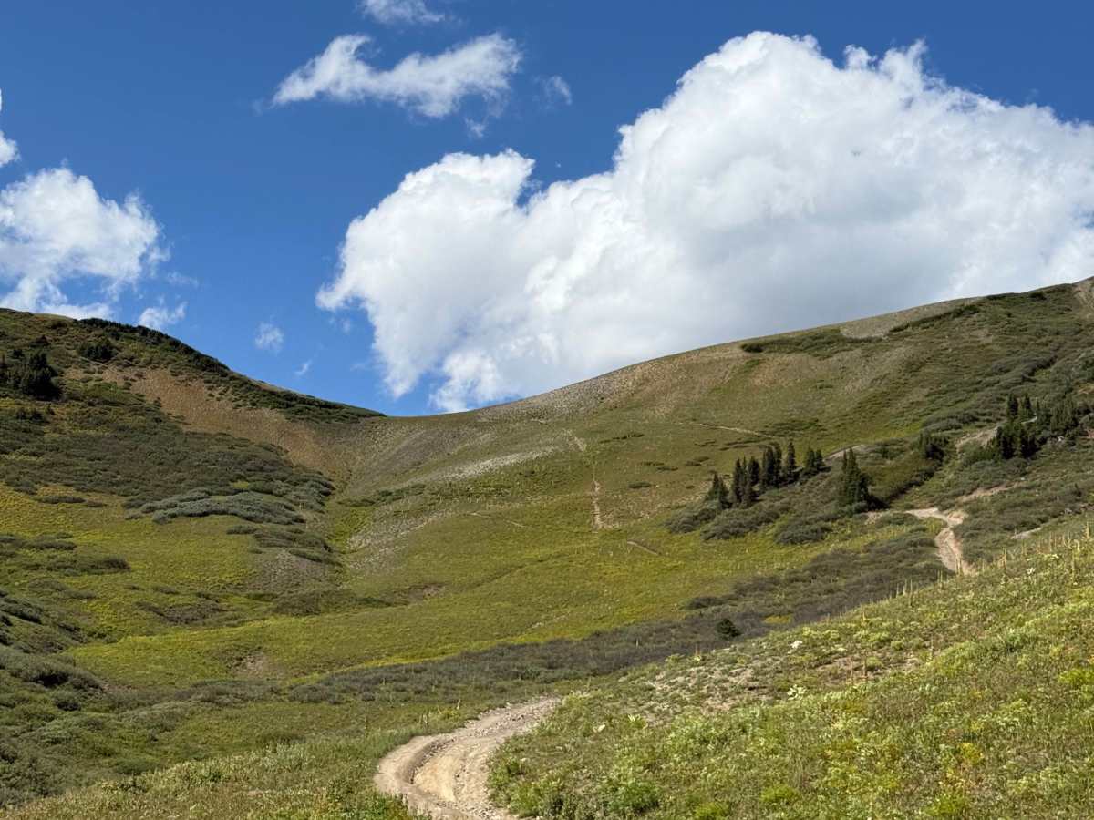 Cement Creek Road - FS 740 trail photo