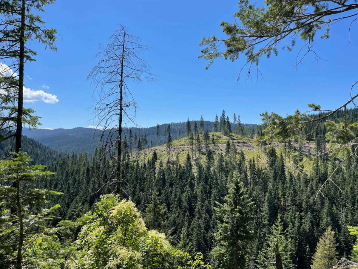 Railroad Grade trail photo