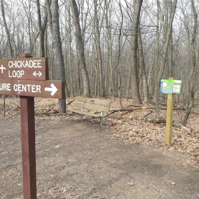 Near Chickadee Trail