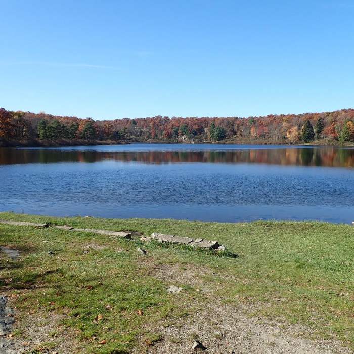 Near Appalachian Trail - Stokes S.F. South Near Appalachian Trail - Stokes S.F. South