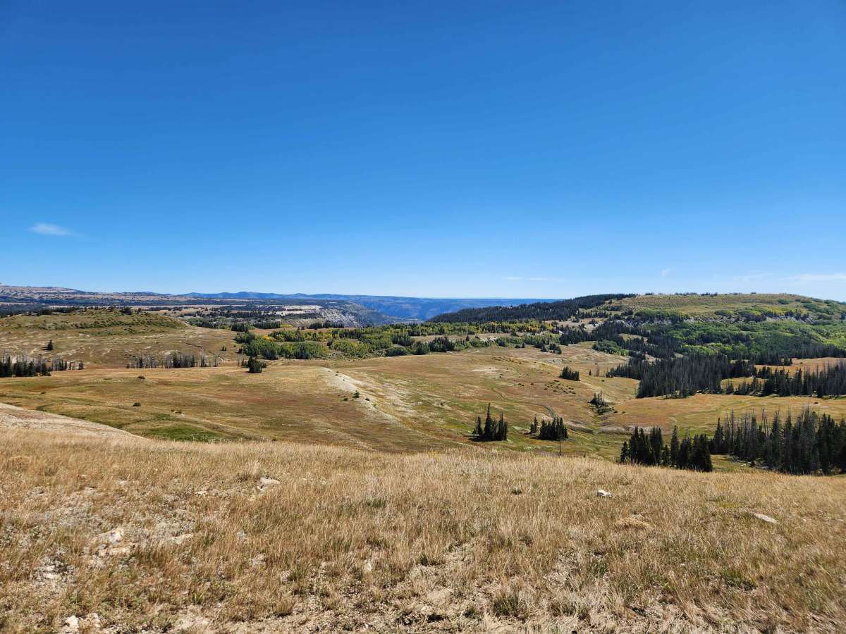 Seeley Creek Guard Station Cutoff - FS 52326 photo 3