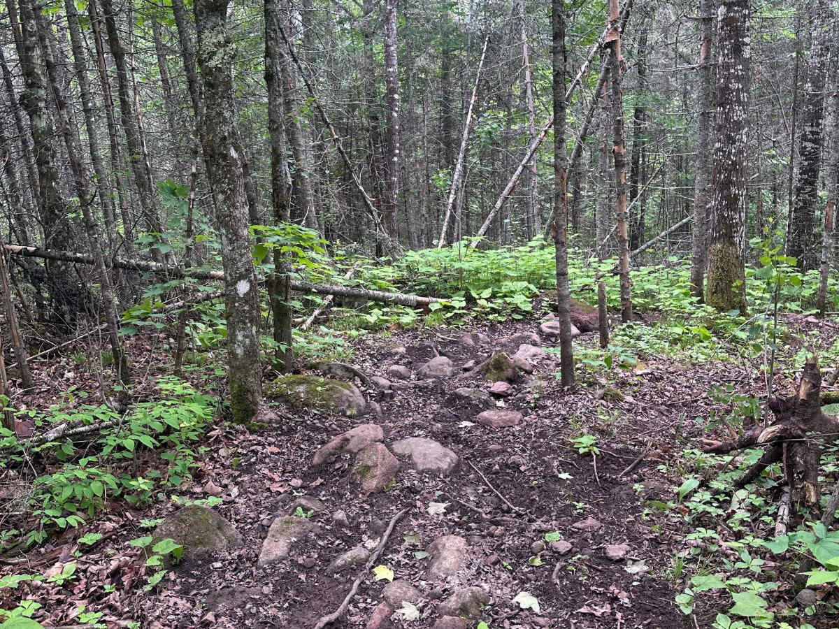 Alger Grade - Trail 2 photo 4