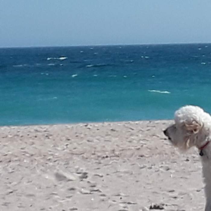 Looking south across Block Island Sound Near East Beach Loop