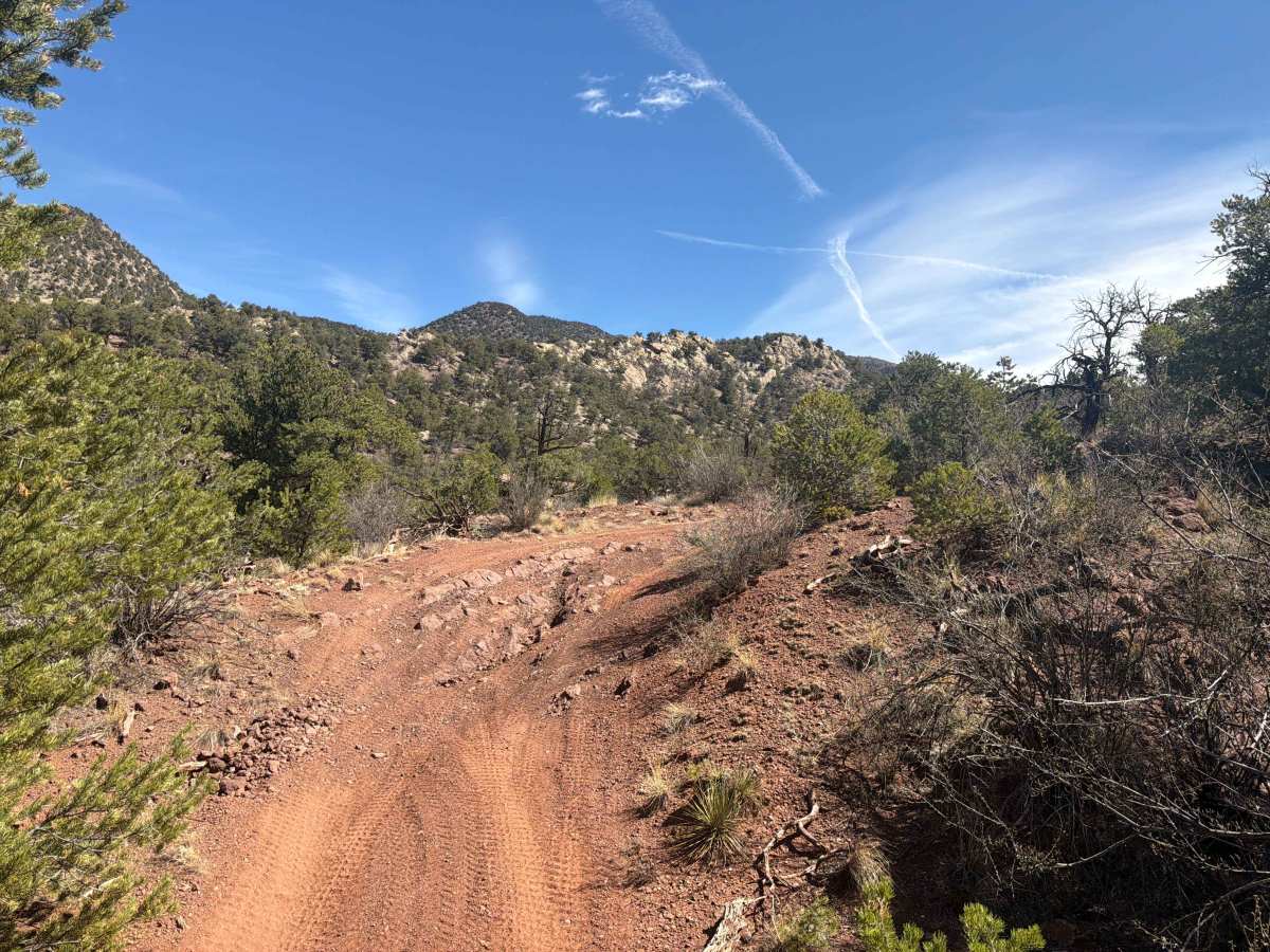 BLM 5965B photo 5