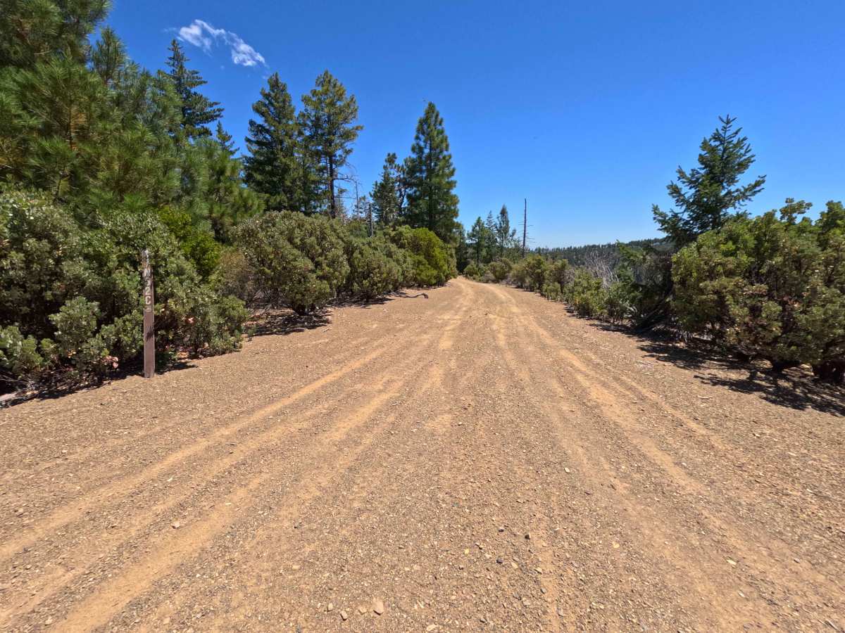 Miner Spur C - FS 17N62C trail photo