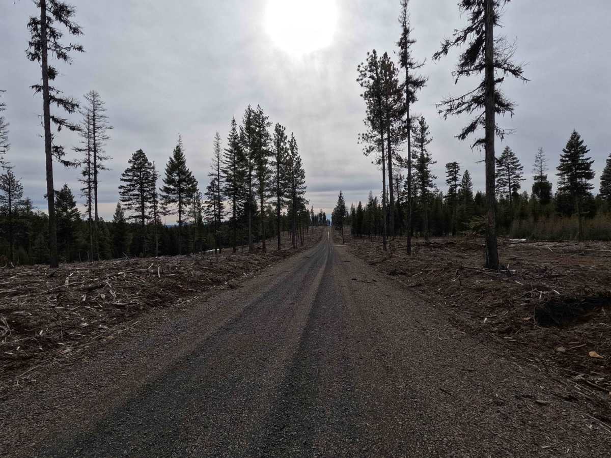 FS 2106 photo 2