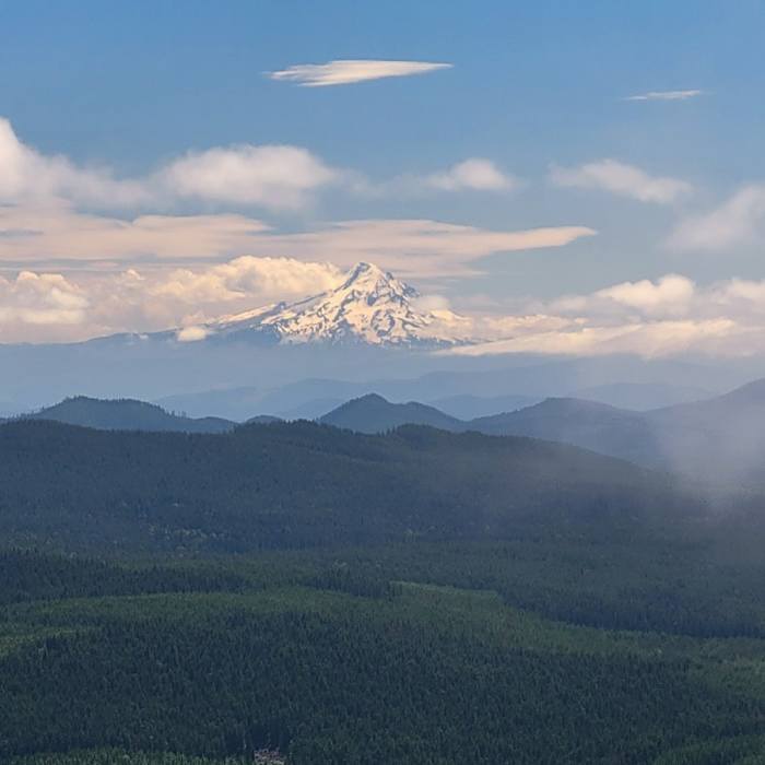 Near Sleeping Beauty