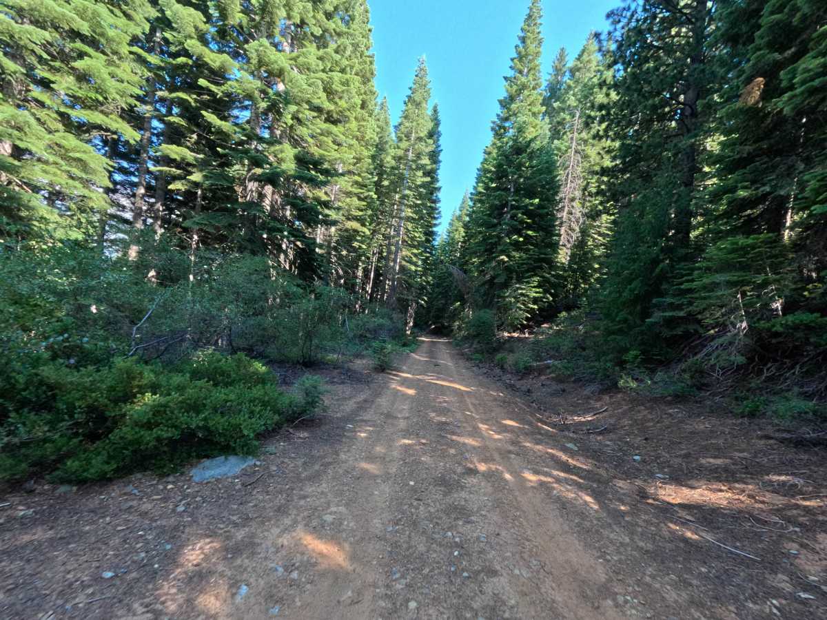 Mohawk Creek - FS 22N42 photo 6