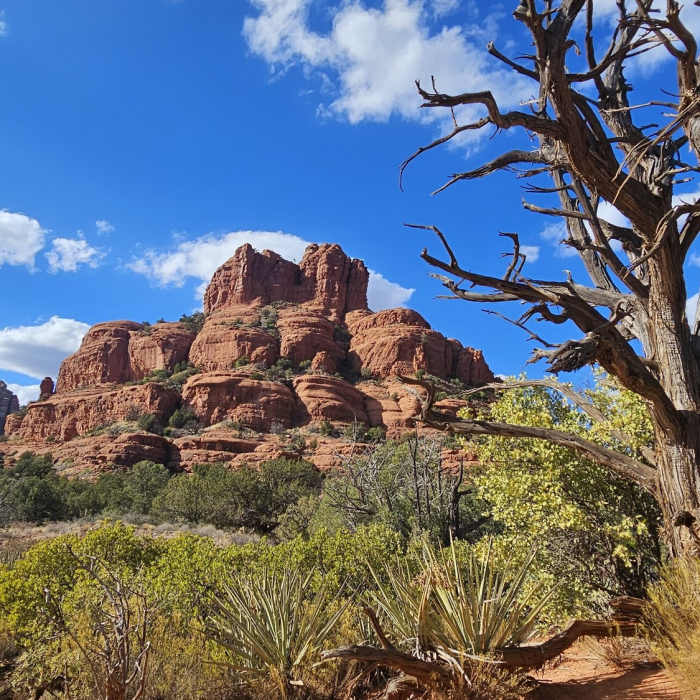 Bell Rock Near Courthouse Loop