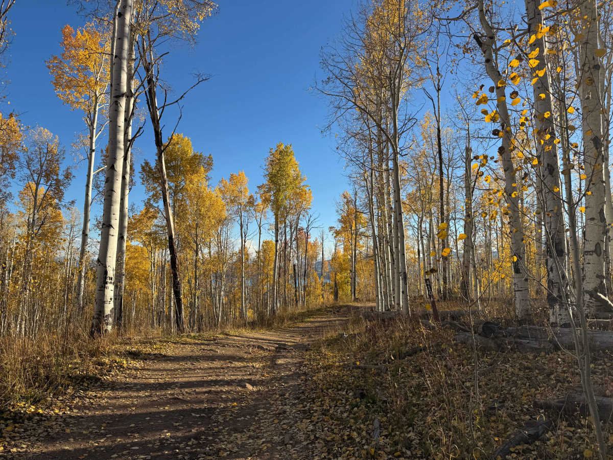 Deep Creek Road photo 2