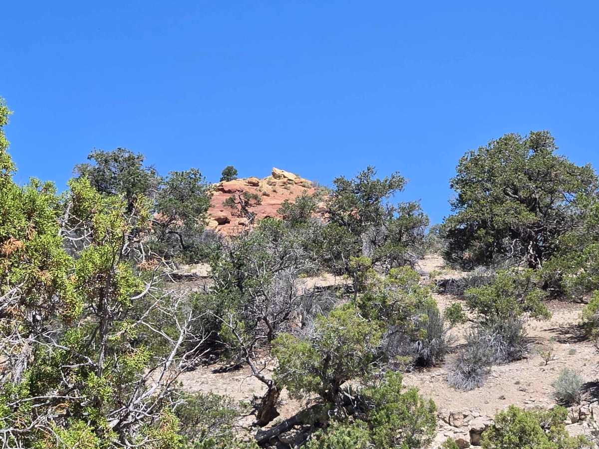 Wash and Dry trail photo