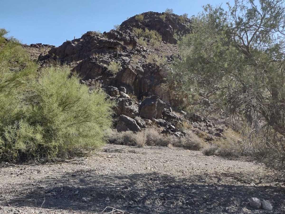 Rockin' Ram Trail - Southern Section photo 2