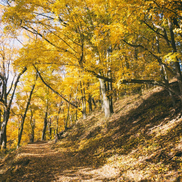 Saugatuck, United States Near Saugatuck Dunes Figure-Eight