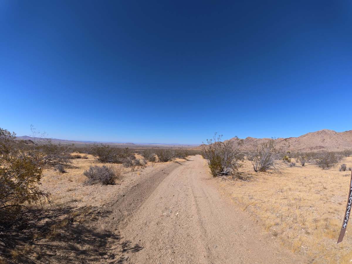BLM 07323 photo 2
