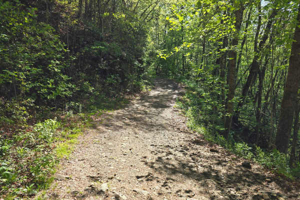 Webb Mill Road
