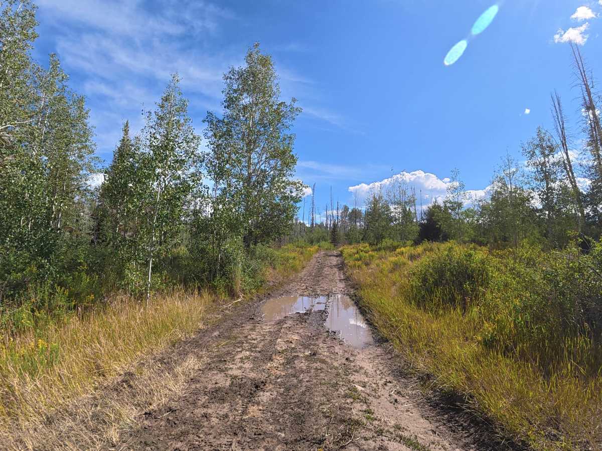 Sterry Lake Road - FS 240 photo 3