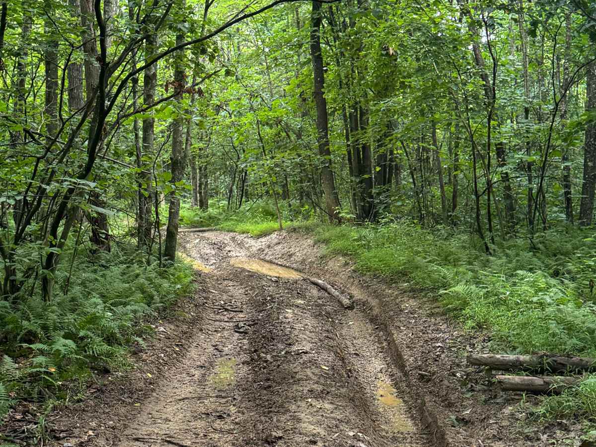 Trail 68 photo 4