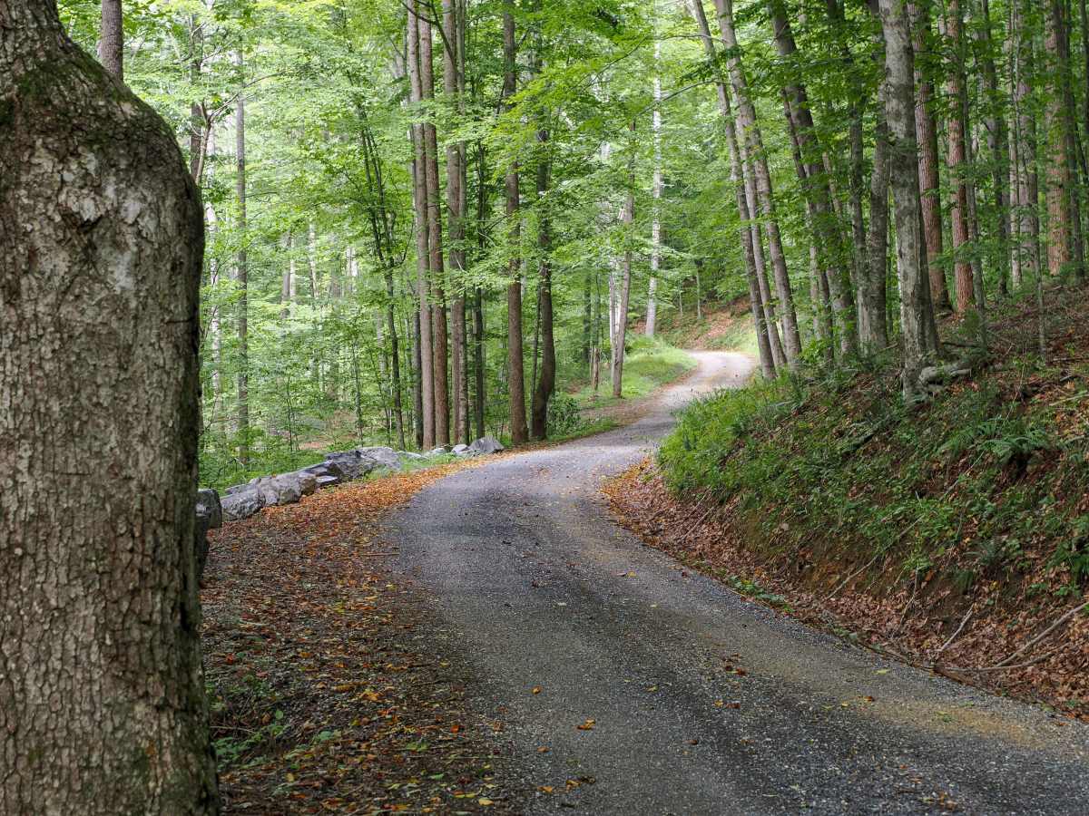 Jordan Road trail photo