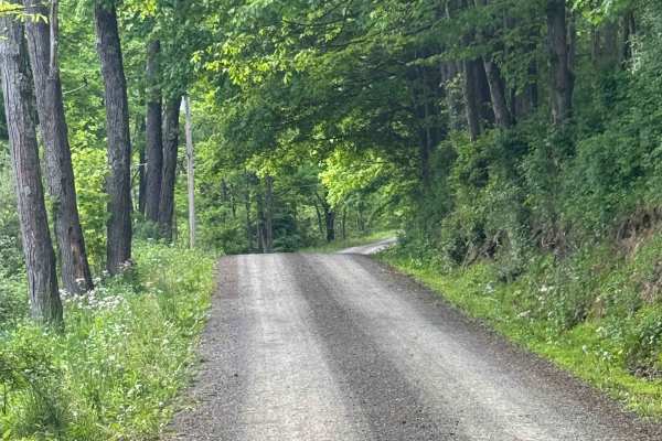 Greens Run Road